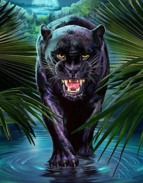 Diamond Painting Schwarzer Panther